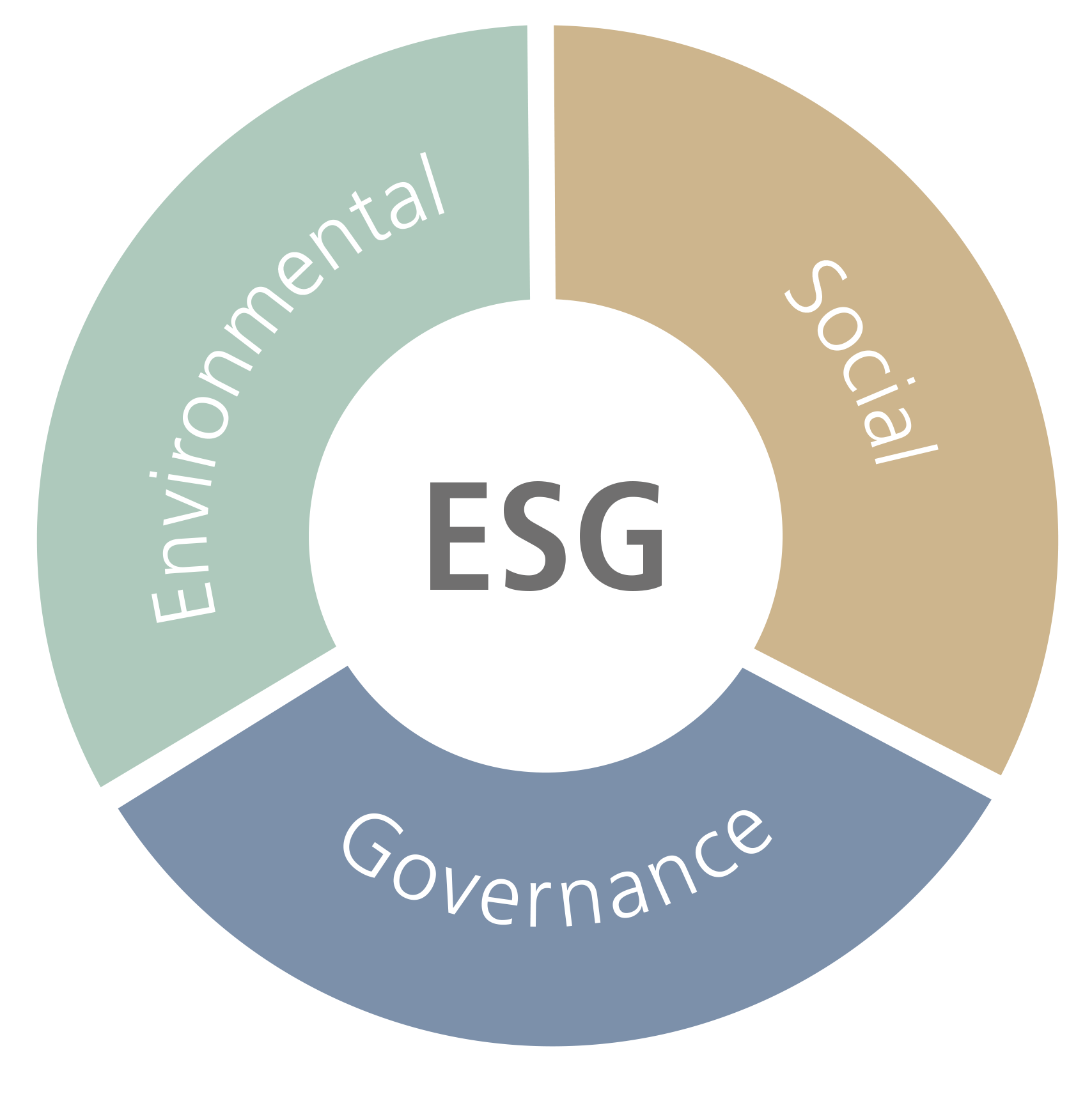 ESG - Environmental Social Governance